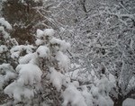 TEMA SĂPTĂMÂNII: Iarna în jurul lumii