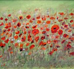 first-poppies-dorothy-maier