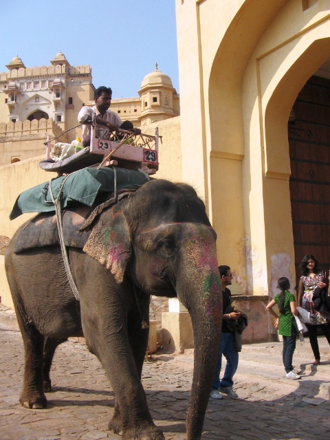 Amber fort7